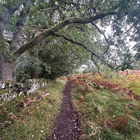 Red Squirrel Cottage Strathtay Exterior foto
