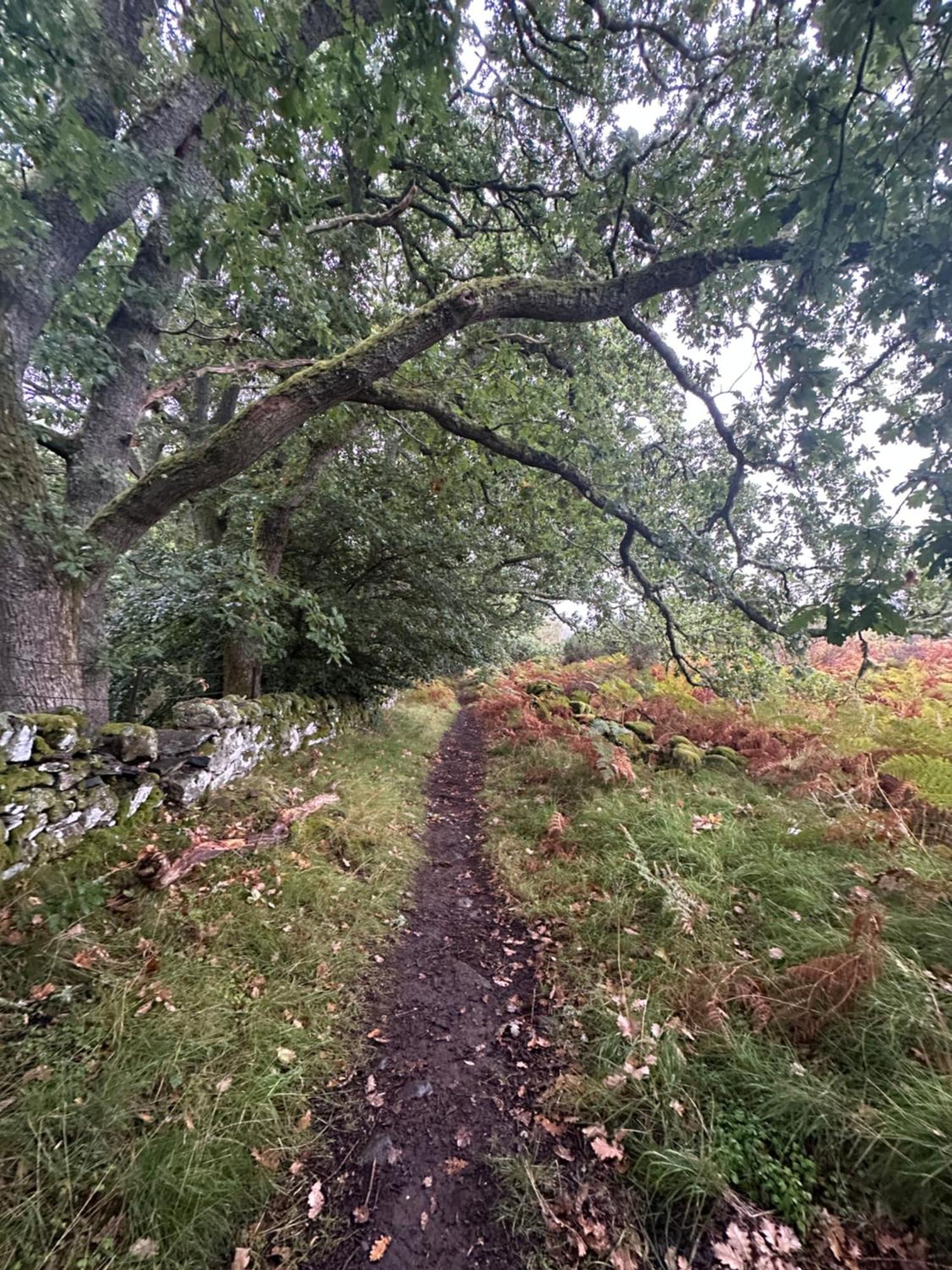 Red Squirrel Cottage Strathtay Exterior foto